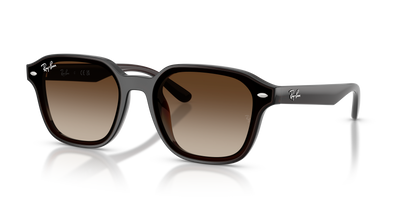 Ray-Ban RB4458D 714/13 65 18 太阳镜
