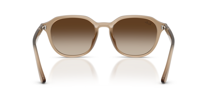 Sonnenbrille Ray-Ban RB4459D 616613 54 19 — Bild 4