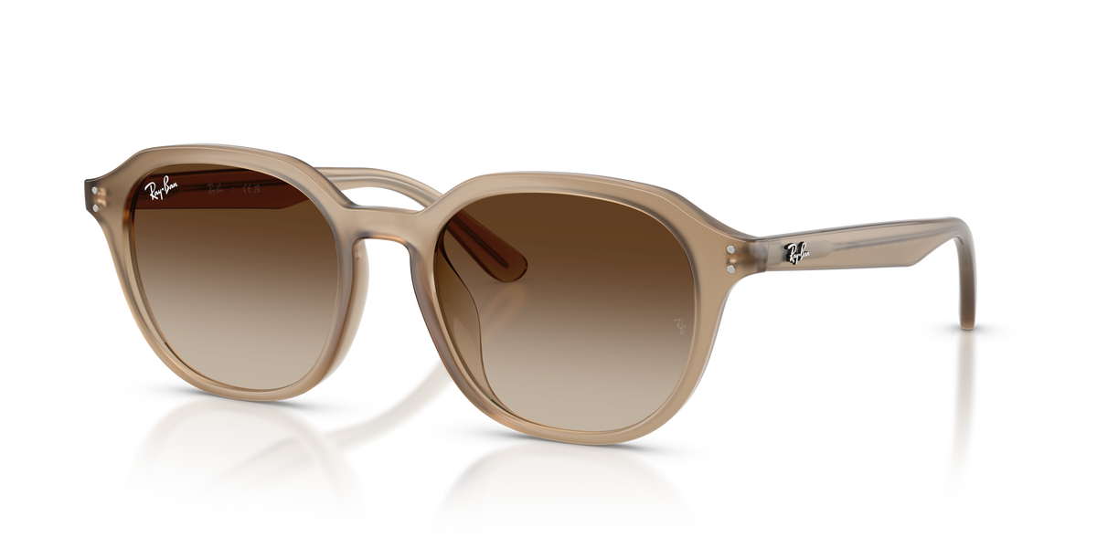 Sunglasses Ray-Ban RB4459D 616613 54 19