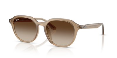 Ray-Ban RB4459D 616613 54 19 太阳镜