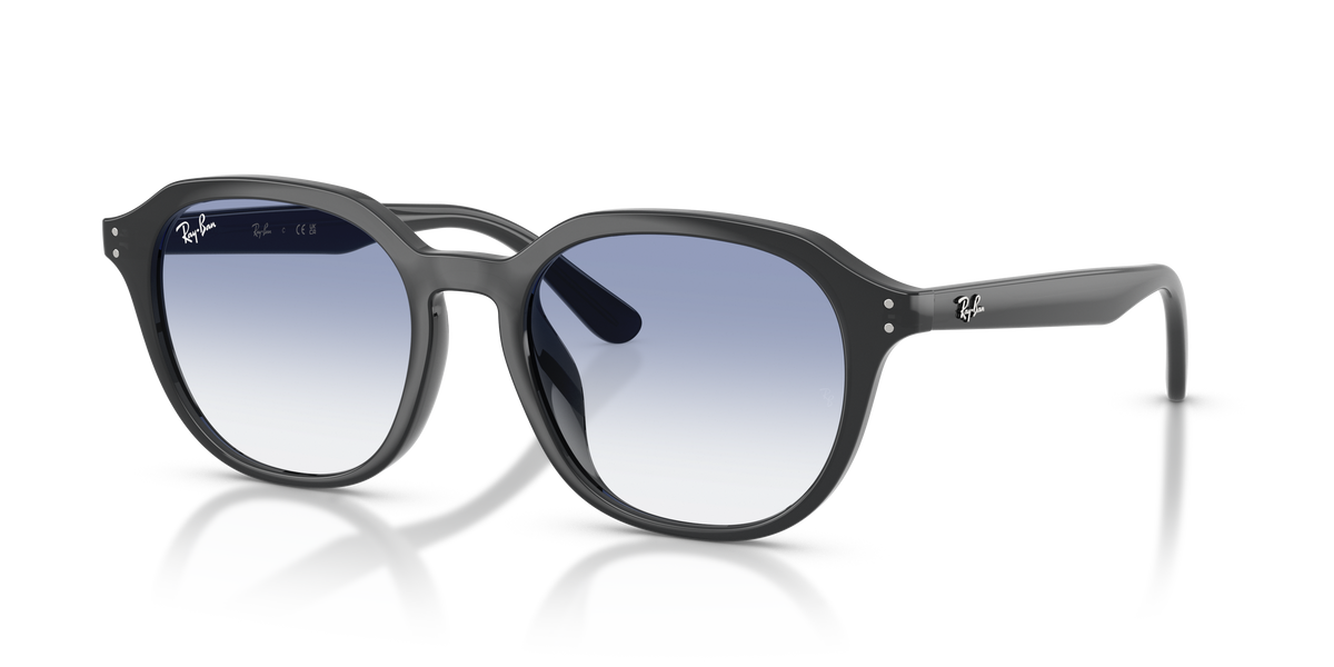Sunglasses Ray-Ban RB4459D 623019 54 19