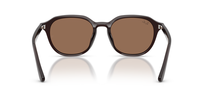 Ray-Ban RB4459D 623173 54 19 太阳镜 品牌镜框 醋酸纤维方形 — 图片 4