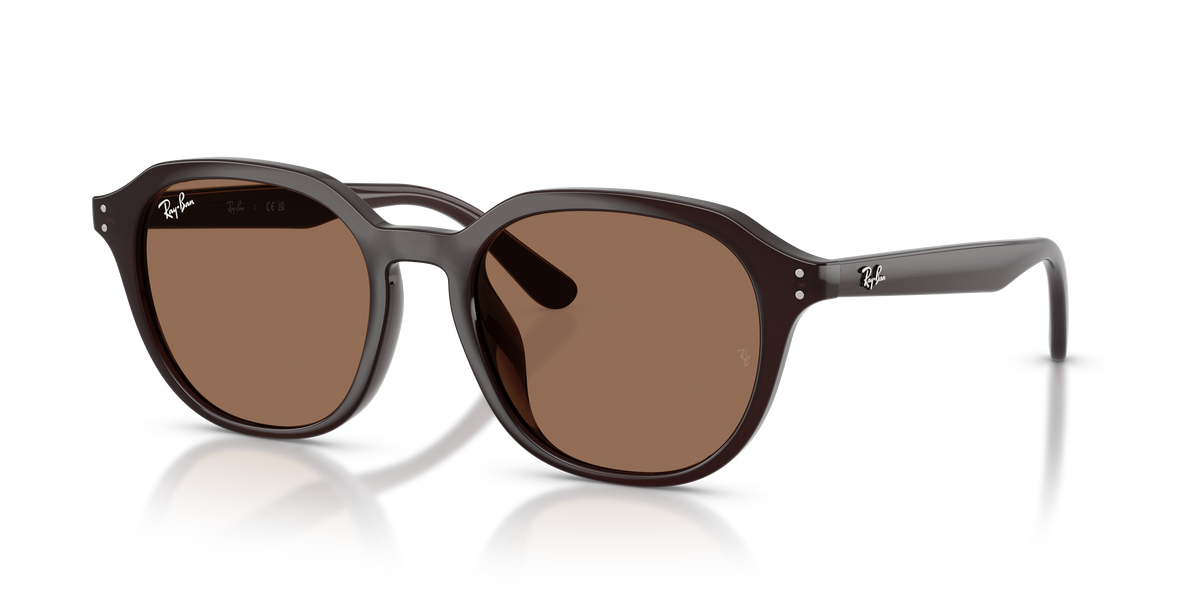 Sonnenbrille Ray-Ban RB4459D 623173 54 19