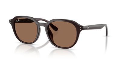 Ray-Ban RB4459D 623173 54 19 太阳镜 品牌镜框 醋酸纤维方形