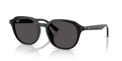 Ray-Ban RB4459D 901/87 54 19 太阳镜