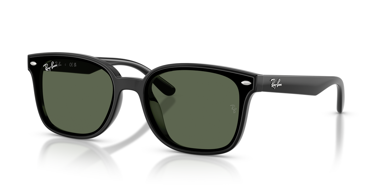 Ray-Ban RB4461D 601/71 64 17 太阳镜