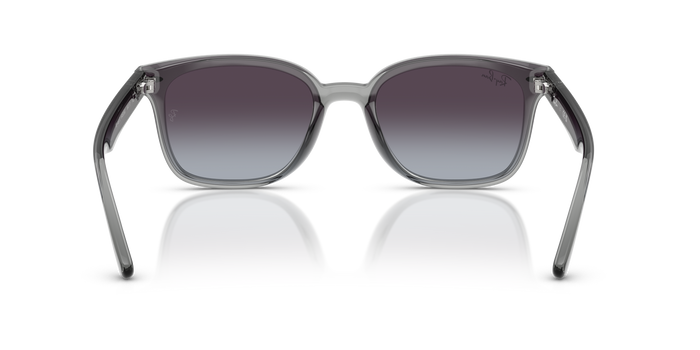Ray-Ban RB4461D 64508G 太阳镜 64 17 — 图片 4