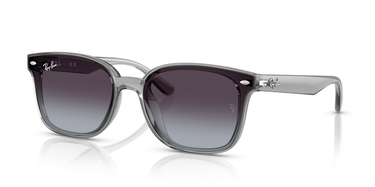 Ray-Ban RB4461D 64508G 太阳镜 64 17