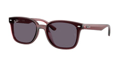 Lunettes de Soleil Ray-Ban RB4461D 659373 64 17