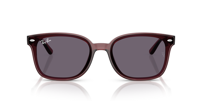 Sunglasses Ray-Ban RB4461D 659373 64 17 — Image 2