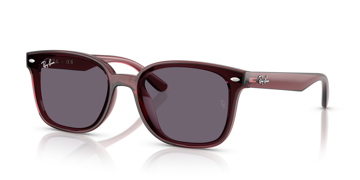 Sunglasses Ray-Ban RB4461D 659373 64 17