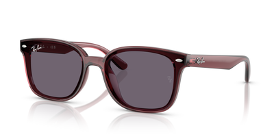 Ray-Ban RB4461D 659373 64 17 太阳镜