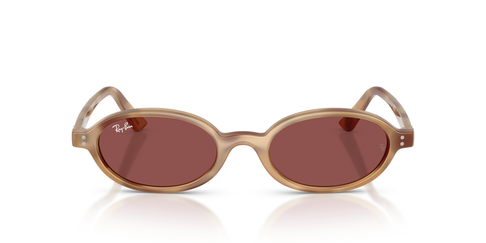 Sonnenbrille Ray-Ban Khal Bio RB4472 685675 — Bild 2