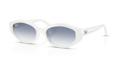 Ray-Ban RB4473D 677219 56-18 太阳镜 醋酸纤维 镜框