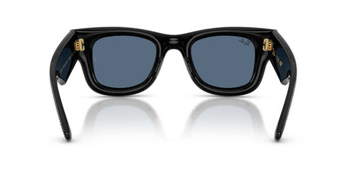 Sunglasses Ray-Ban WAYFARER PUFFER RB4940BP 686580 47 23 — Image 4