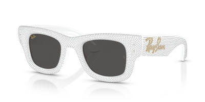 Ray-Ban WAYFARER PUFFER RB4940BP 686687 47 23 太阳镜