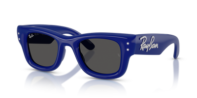 Sunglasses Ray-Ban WAYFARER PUFFER RB4940B 686087 47 23