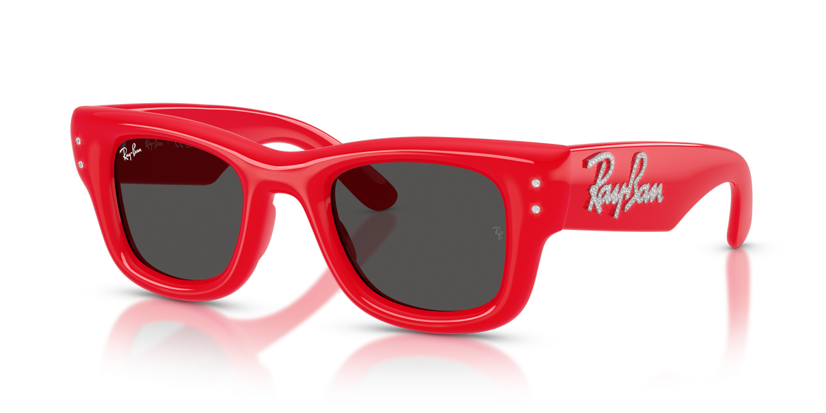 Sunglasses Ray-Ban WAYFARER PUFFER RB4940B 686187 47 23