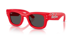 Sunglasses Ray-Ban WAYFARER PUFFER RB4940B 686187 47 23