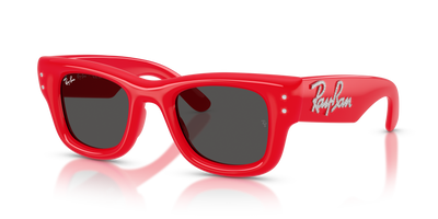 Sunglasses Ray-Ban WAYFARER PUFFER RB4940B 686187 47 23