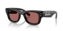 Ray-Ban WAYFARER PUFFER RB4940B 686485 47 23 太阳镜