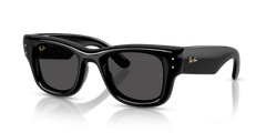 Lunettes de Soleil Ray-Ban WAYFARER PUFFER RB4940 601/87