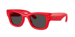 Sonnenbrille Ray-Ban WAYFARER PUFFER RB4940 683187