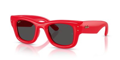 Gafas de Sol Ray-Ban WAYFARER PUFFER RB4940 683187