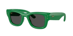 Солнцезащитные очки Ray-Ban WAYFARER PUFFER RB4940 683487