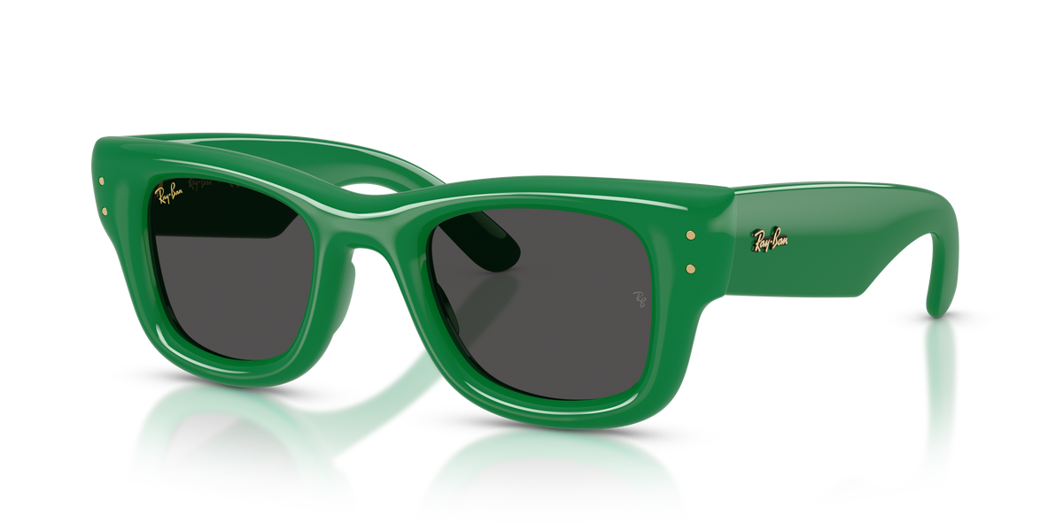 Ray-Ban WAYFARER PUFFER RB4940 683487 太阳镜