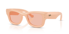 Gafas de Sol Ray-Ban WAYFARER PUFFER RB4940 687584