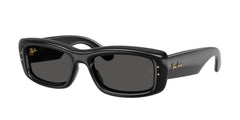 Gafas de Sol Ray-Ban RB4944 601/87 55 19