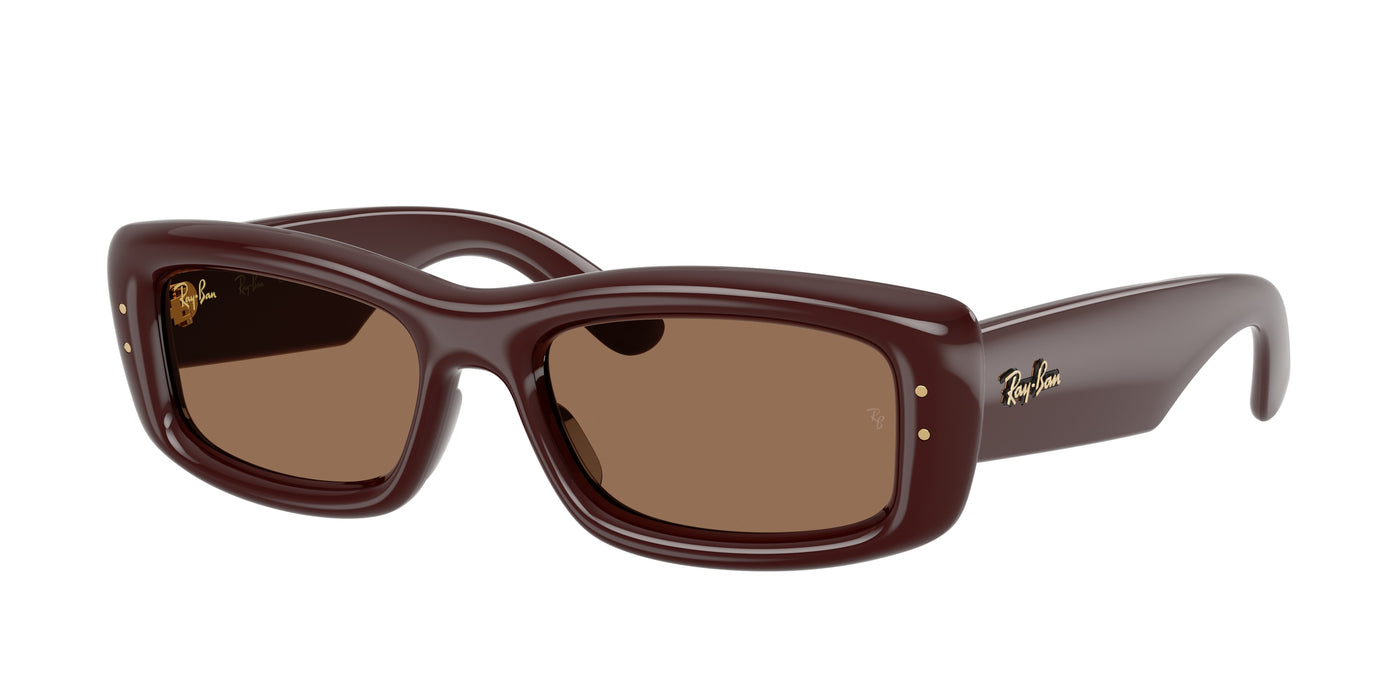 Sunglasses Ray-Ban RB4944 687773 55 19