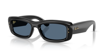 Ray-Ban RB4944 601/80 55 19 太阳镜