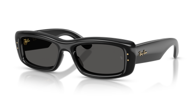 Ray-Ban RB4944 601/87 55 19 太阳镜