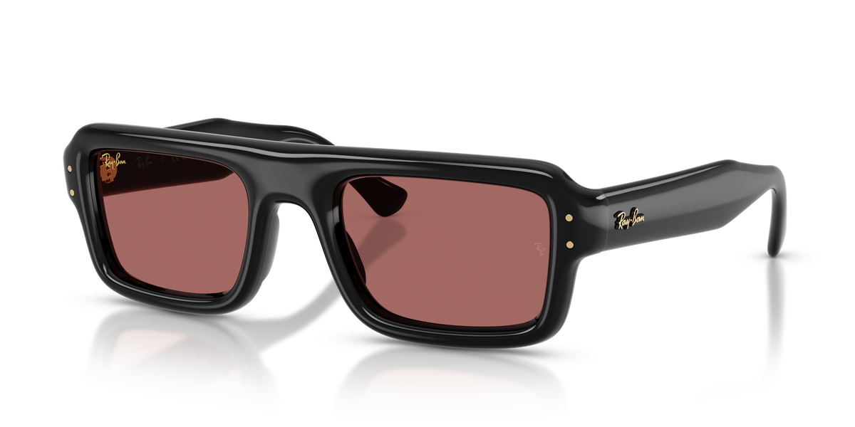 Ray-Ban RB4954 601/69 太阳镜