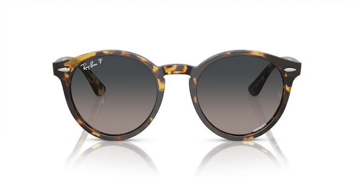 Sonnenbrille Ray-Ban Larry RB7680S 1332GL 49 21 — vista 2