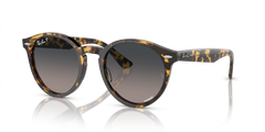 Sonnenbrille Ray-Ban Larry RB7680S 1332GL 49 21