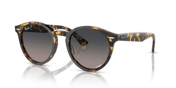 Gafas de Sol Ray-Ban Larry RB7680S 1332GL 49 21