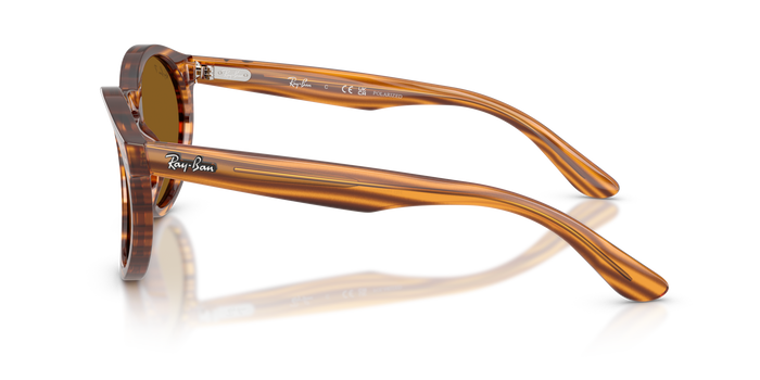 Sonnenbrille Ray-Ban RBR0505S 679183 52 22 — Bild 3