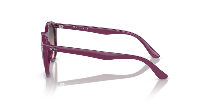 Ray-Ban Sunglasses RJ9064S 716246 44 19 — Image 3