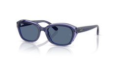 Ray-Ban RJ9081S 715980 48 17 太阳镜
