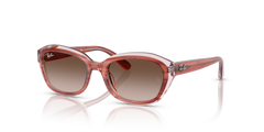 Ray-Ban Sunglasses RJ9081S 717313 48 17