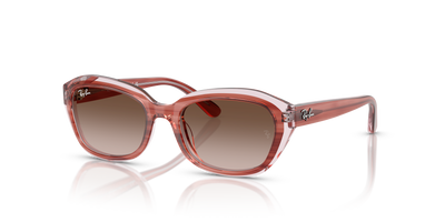 Ray-Ban Sunglasses RJ9081S 717313 48 17