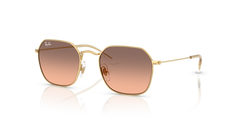 Ray-Ban RJ9594S 223/46 49 19 太阳镜