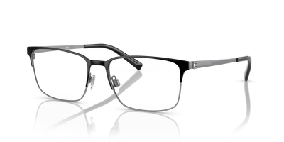 Sunglasses Ralph Lauren RL5119 9002 55 17