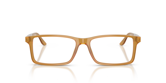 Gafas de Sol Ralph Lauren RL6128 5275 53 16 — vista 2