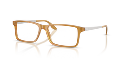 Gafas de Sol Ralph Lauren RL6128 5275 53 16