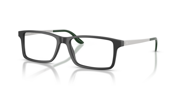Gafas de Sol Ralph Lauren RL6128 5514 53 16