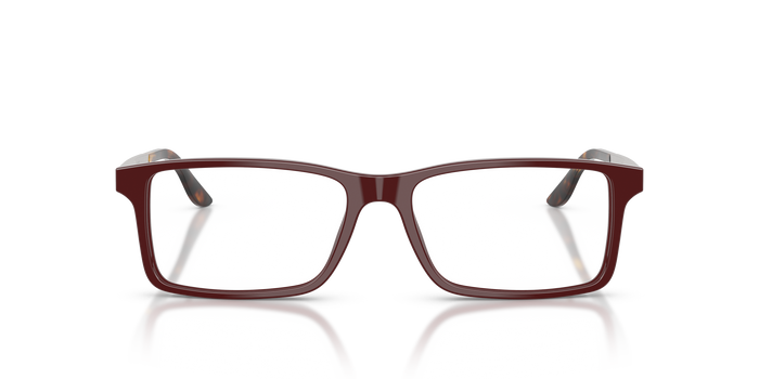 Sonnenbrille Ralph Lauren RL6128 6311 53 16 — vista 2